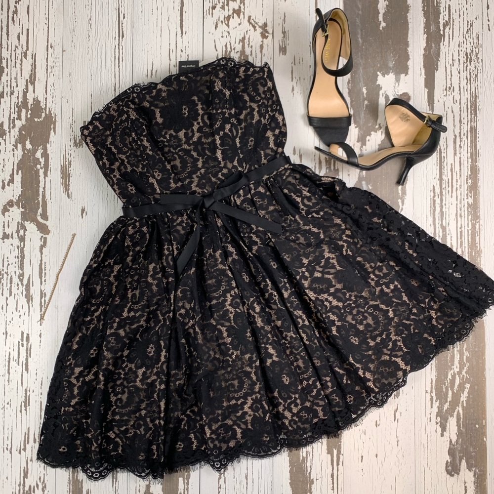 New Robert Rodriguez Beautiful Lace Dress